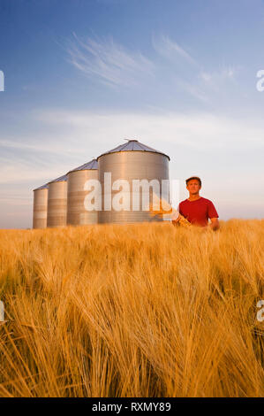 Ein Mann in einer heranreifenden Gerste Feld mit Getreide Lagerung Behälter/Silos in den Hintergrund, die in der Nähe von Carey, Manitoba, Kanada Stockfoto