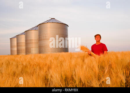 Ein Mann in einer heranreifenden Gerste Feld mit Getreide Lagerung Behälter/Silos in den Hintergrund, die in der Nähe von Carey, Manitoba, Kanada Stockfoto