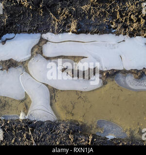 Eis auf einer schlammigen Pfütze auf einer unbefestigten Straße. Stockfoto