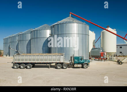 Eine Farm Lkw neben Korn Staufächer in einem Hof, in der Nähe von Lorette, Manitoba Stockfoto