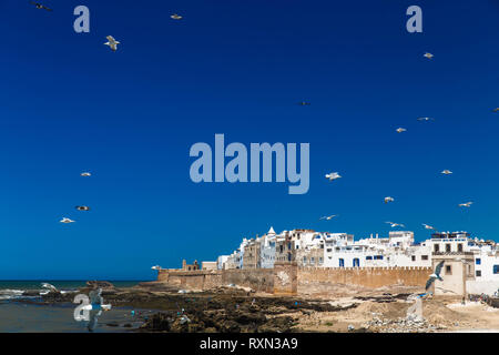 Antenne Panoramablick auf die Altstadt von Essaouira in Marokko. Stockfoto