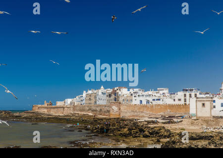 Antenne Panoramablick auf die Altstadt von Essaouira in Marokko. Stockfoto