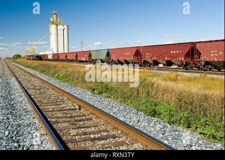 Rail Hopper Autos warten auf einem Abstellgleis weiter, um ein inländisches Getreide Terminal, Rosser, Manitoba, Kanada Stockfoto