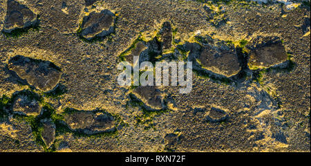 Nahaufnahme von einem Stein am Strand, Felsen im Meer, Algen und Sand, natürlichen Hintergrund Stockfoto