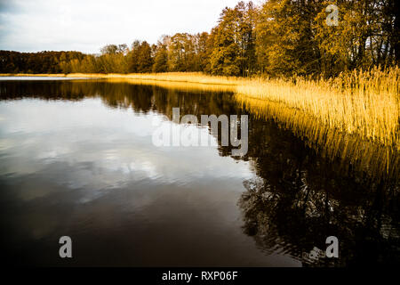 Der Finckensee wird nach den Plänen von Dierck Engel bald nur noch von ökologisch behandelten Feldern umgeben sein. Landschaft mit See bei Fincken, Deutschland Stockfoto