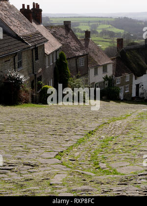 Gold Hill ('Hovis' Hill), Shaftesbury, Dorset, Großbritannien Stockfoto