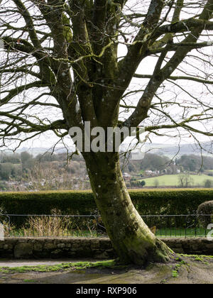 Park gehen, Shaftesbury Abbey, Shaftesbury, Dorset, Großbritannien Stockfoto