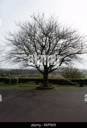 Park gehen, Shaftesbury Abbey, Shaftesbury, Dorset, Großbritannien Stockfoto