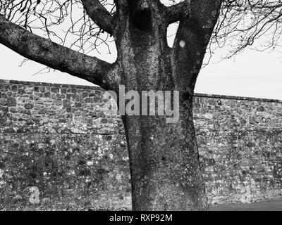 Sundail, Park, Shaftesbury Abbey, Shaftesbury, Dorset, Großbritannien Stockfoto