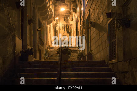 Nacht Blick auf eine Gasse geht nach oben, Lichter und Handlauf von alten Fassaden abgedeckt. Einige Blumen im Topf. Malta. Europa Stockfoto