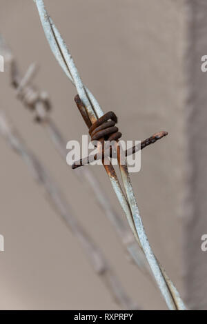 Aus der Nähe zu sehen. Eine verrostete Spike auf einem alten verrosteten Zaun barded Stockfoto