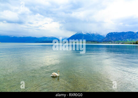 Thunersee und Alpen in der Stadt Thun, Schweiz Stockfoto