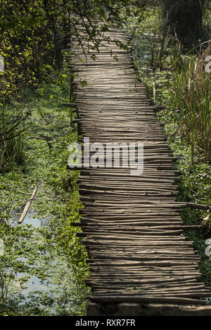 Ein natürlicher Wanderweg aus Bambus in Okhla Bird Sanctuary Stockfoto