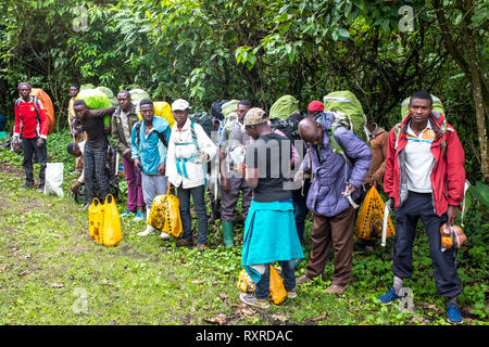 Wanderer Climbing Mount Nyiragongo in der Demokratischen Republik Kongo Stockfoto