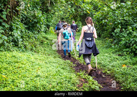 Wanderer Climbing Mount Nyiragongo in der Demokratischen Republik Kongo Stockfoto