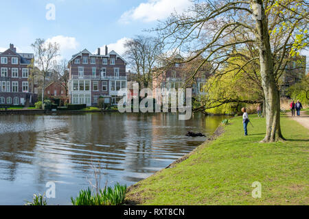 Hund genießt der Frühling in der Vondelpark, Amsterdam und springt in einem Teich. Stockfoto