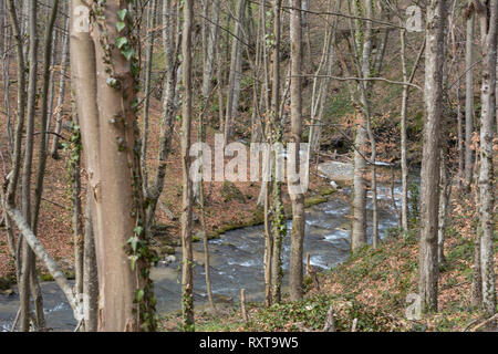 Den Wald Hexe kleiner Fluss im Jastrebac Stockfoto