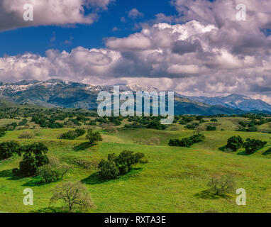 Frühling Schnee, Santa Ynez Mountains, Los Padres National Forest, Santa Barbara County, Kalifornien Stockfoto