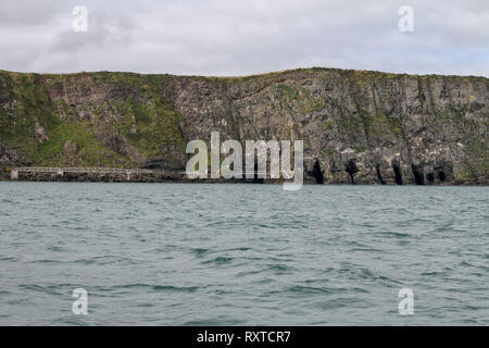 Panoramablick auf die Gobbins Cliff Pfad gehen im County Antrim, Nordirland mit mehreren Höhlen auf der rechten Seite.. Stockfoto