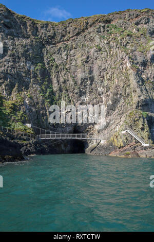 Metal Bridge und Gehweg an der Basis der Sea Cliff an der Küste zu Fuß Gobbins im County Antrim, Nordirland. Stockfoto