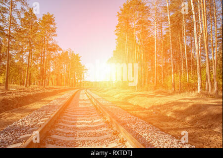 Verlassenen Bahnhof unter den Bäumen im Herbst gemalt. Sonnigen Tag. Tunnel der Liebe. Hintergrund Stockfoto
