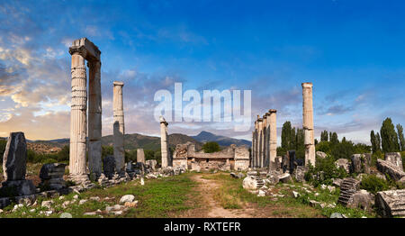 Der Tempel der Aphrodite im Zentrum von Aphrodisias. Alle der Überreste des antiken Tempels besteht aus vierzehn der über 40 ionische Säulen, Stockfoto