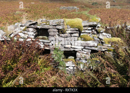 Stein Sideboard oder Kommode mit cubbyholes und Regale des zerstörten alten Stein croft Gebäude, Boreraig, Isle of Skye, Schottland, Großbritannien Stockfoto