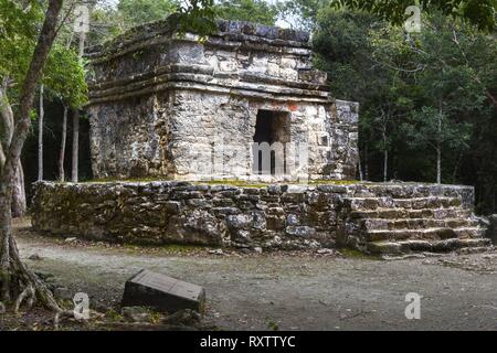 Ruinen der antiken Maya-Zivilisation Steintreppen Opfertempel in San Gervasio Archäologische Stätte, Cozumel Mexiko Stockfoto