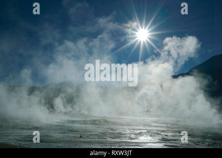 Während des Kalten Morgenstunden, Geysire produzieren reichlich Dampf. El Tatio Hot Springs. Höhe 14.000 ft. Anden. Chile, Südamerika. Stockfoto