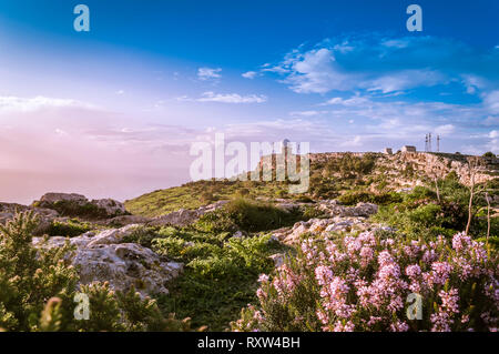 Dingli Cliffs, Malta: Panoramastraße mit Blick über Dingli Cliffs und Luftfahrt Radar mit lila Blumen im Vordergrund. Romantische violetten Tonen Stockfoto