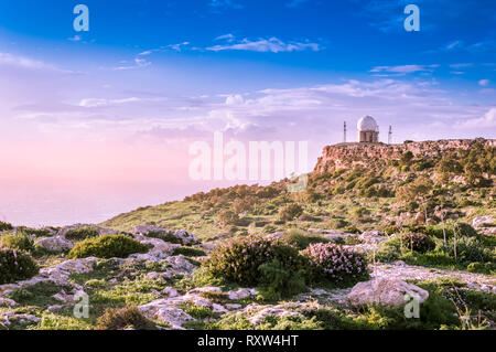 Dingli Cliffs, Malta: Panoramastraße mit Blick über Dingli Cliffs und Luftfahrt Radar mit lila Blumen im Vordergrund. Romantische violetten Tonen Stockfoto