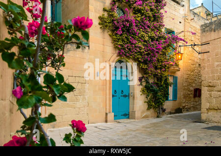 Mdina, Malta: traditionellen maltesischen Haus mit künstlerischen Türen, Helle Blüten in lila Bougainvillea auf dem Kalkstein Mauer und Laternen Stockfoto