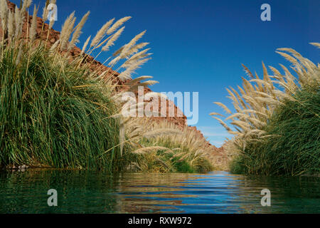 Puritama Hot Springs in der Nähe von San Pedro de Atacama, Chile, Atacama, Südamerika. Stockfoto