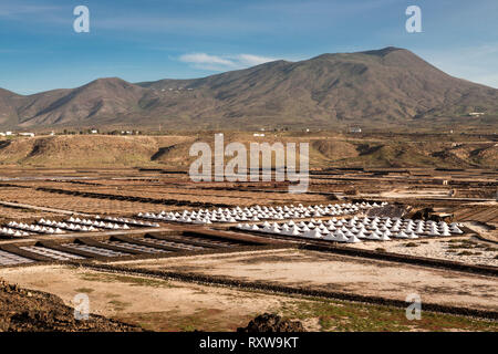 Panorama der Saline durch Menschen geschaffen. Salinas de Janubio, Lanzarote. Spanien Stockfoto