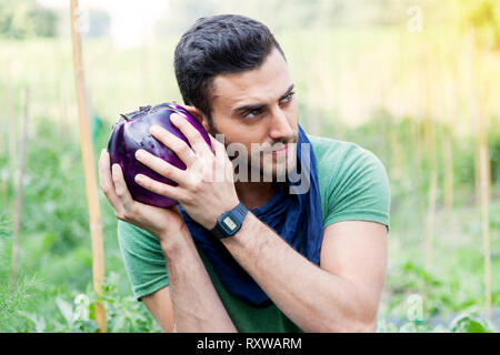 Junge Landwirt sieht einen violetten Aubergine in seinem Garten Stockfoto