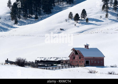 Scheune und Corral, Wallowa County, Oregon. Stockfoto