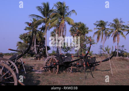 Alte Ochsenkarren Friedhof & Zucker Palmen während der trockenen Jahreszeit, Kampong Thom Provinz, Kambodscha. © kraig Lieb Stockfoto