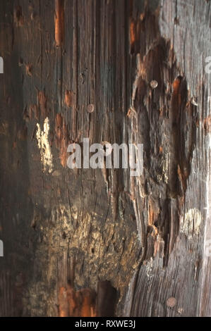 Old Plank aus Holz Stockfoto