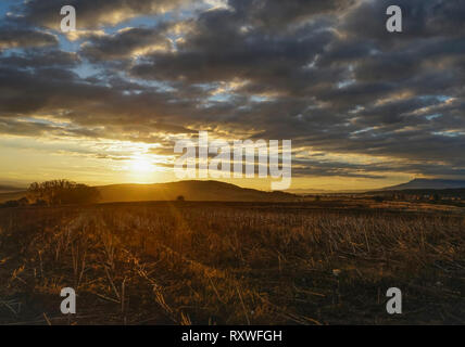 Goldene Stunde Sonnenaufgang über einem Abgeernteten eingereicht und dramatische Wolkenhimmel Stockfoto
