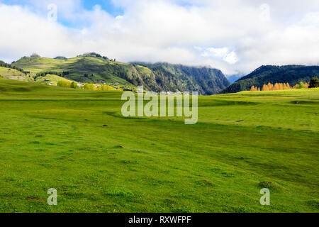 Schönen grünen Tal im Sommer Tag im Kaukasus. Georgien, Tuscheti Stockfoto