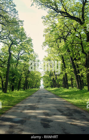 Die Straße geht in die Ferne Stockfoto