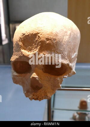 Homo sapiens Schädel Cro-Magnon, Frankreich, Altsteinzeit superior (30.000 v. Chr.) Stockfoto