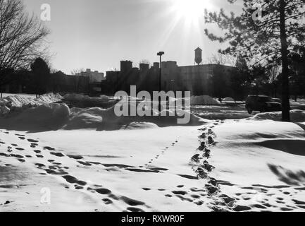 Spuren im Schnee zu Franklin Square in Downtown Syracuse, New York Stockfoto