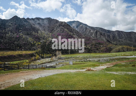 Berglandschaften der Chui Trakt, Altai. Tal Chuya. Petroglyphic komplexe Kalbak-Tash Stockfoto