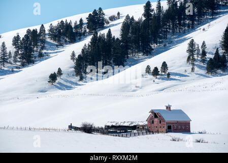 Scheune und Corral, Wallowa County, Oregon. Stockfoto