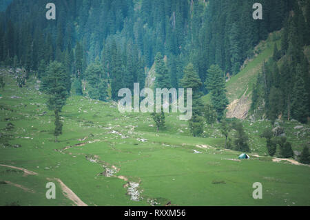 Verblasste Moody anzeigen von Camping Zelt von einer Gruppe von Camper in den Wiesen von Aru, Pahalgam in Kaschmir, Indien Stockfoto