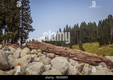 Ein Protokoll von Holz im weiten Feld der runde Felsen ein Flusslauf in eine Landschaft in Doodhpathri, Kaschmir Stockfoto