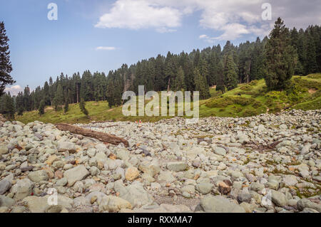 Ein weites Feld Der Runde Felsen ein Flusslauf in eine Landschaft in Doodhpathri, Kaschmir Stockfoto