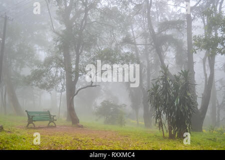 Eine grüne Bank für das Sitzen in einem Park auf einem sehr nebligen Tag in Nandi Hills in Bangalore. Stockfoto