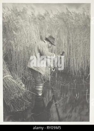 Eine Reed-Cutter bei der Arbeit. Peter Henry Emerson; Englisch, geboren in Kuba, 1856-1936. Datum: 1886. Abmessungen: 28,3 x 20,7 cm (Bild/Papier); 41,1 × 28,6 cm (album Seite). Platin drucken, PL. XXV aus dem Album 'Leben und Landschaft auf den Norfolk Broads' (1886), Ausgabe von 200. Herkunft: England. Museum: Das Chicago Art Institute. Stockfoto